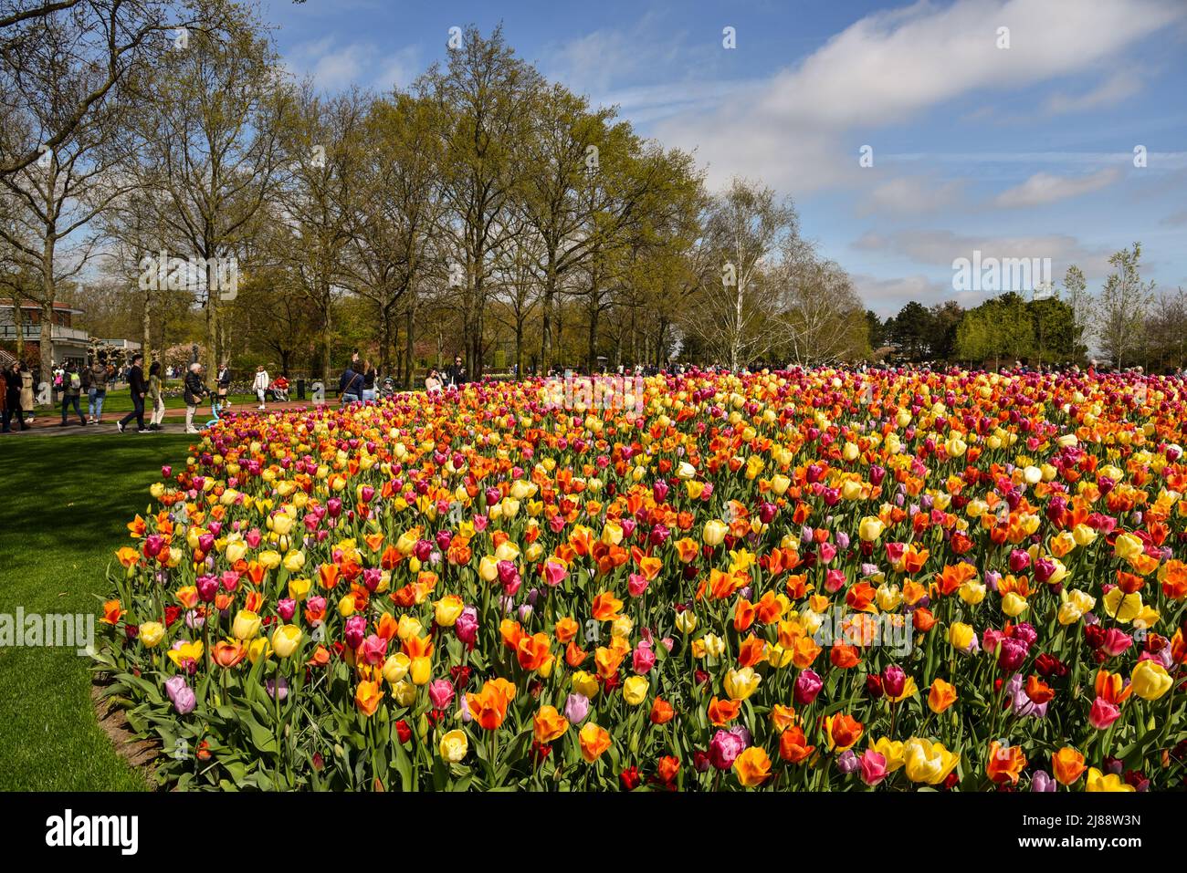 Lisse, Amsterdam, aprile 2022. I colorati aiuole e i turisti del Keukenhof. Foto di alta qualità Foto Stock