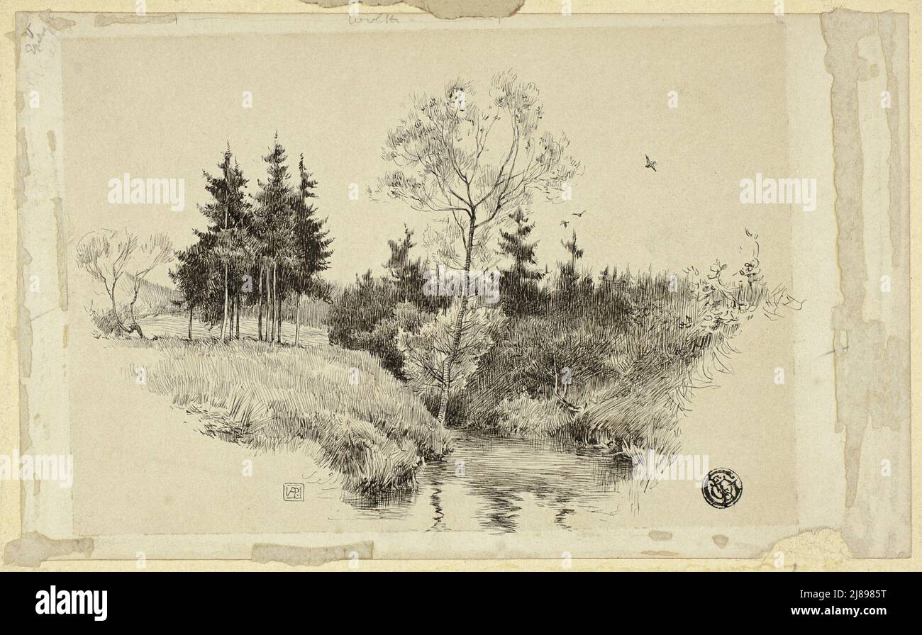 Brook in Forest, n.d. Foto Stock