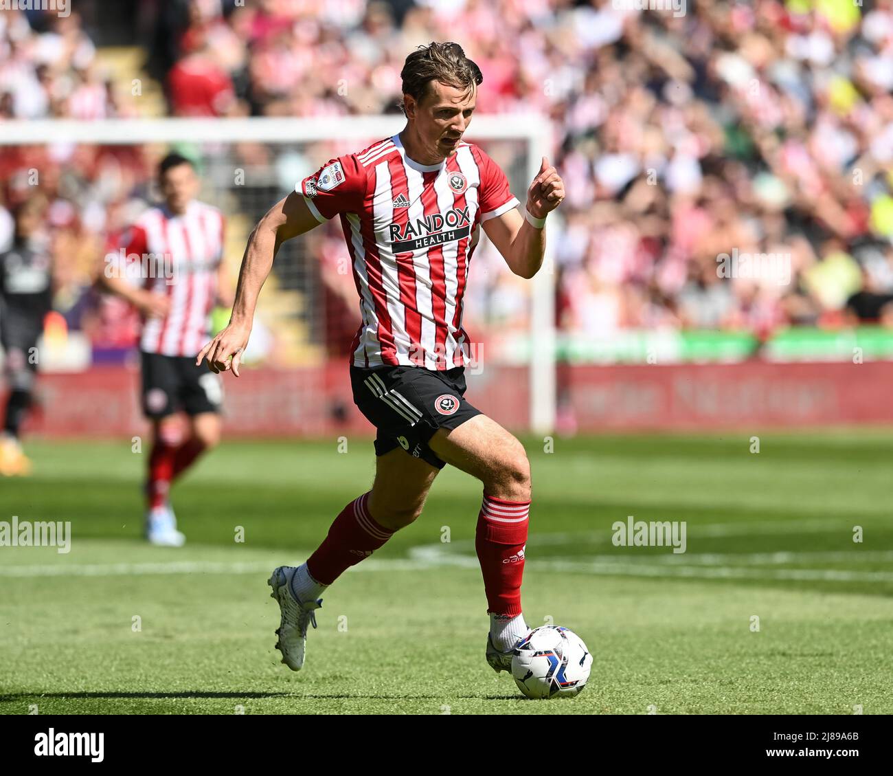 Sheffield, Regno Unito. 14th maggio 2022. Sander Berge #8 di Sheffield United si rompe con la palla a Sheffield, Regno Unito il 5/14/2022. (Foto di Craig Thomas/News Images/Sipa USA) Credit: Sipa USA/Alamy Live News Foto Stock