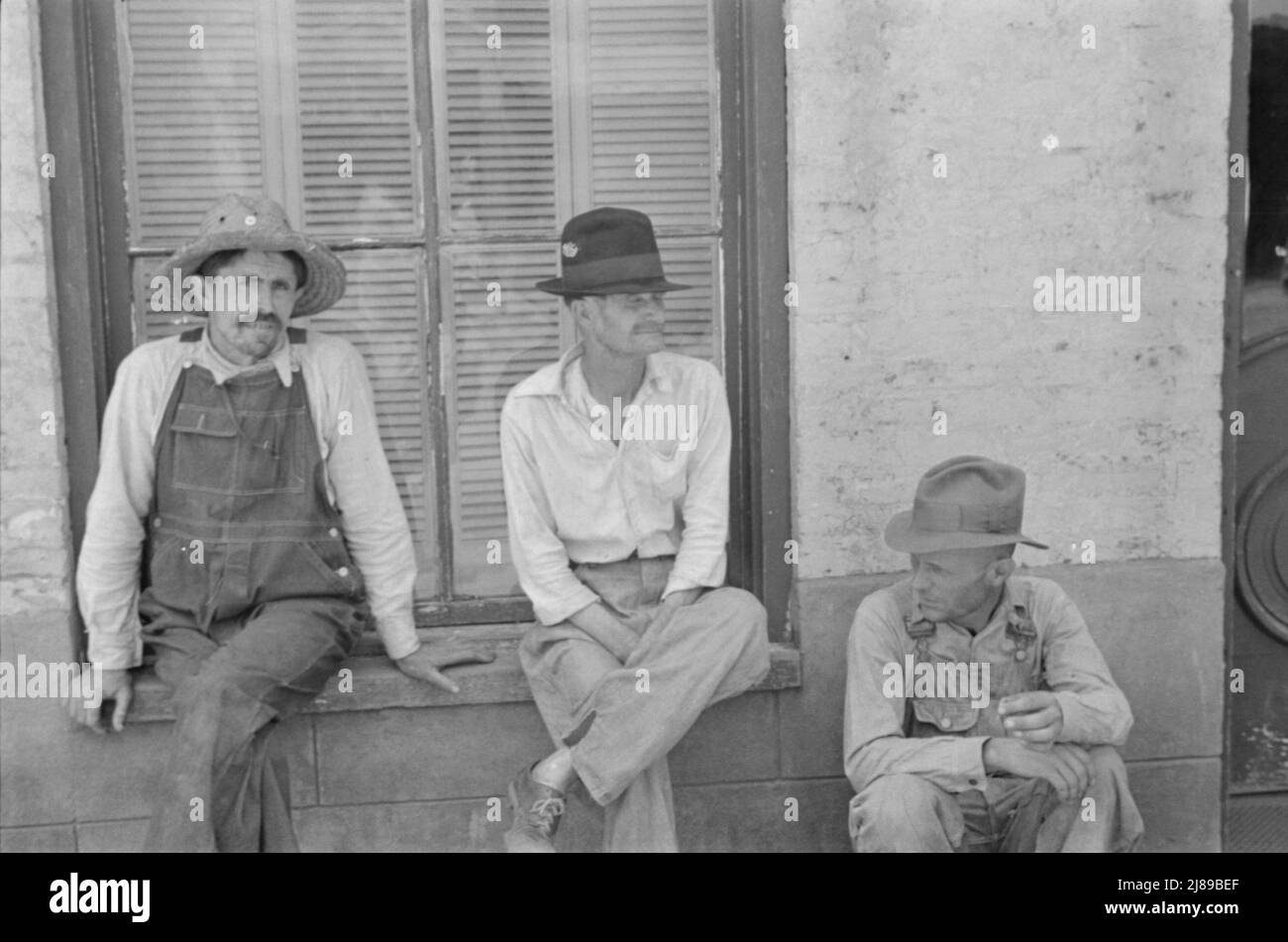 Frank Tengle, Bud Fields e Floyd Burroughs, cotton sharecroppers, Hale County, Alabama. Foto Stock