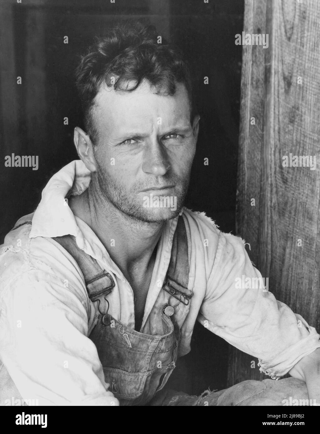 Floyd Burroughs, sharecropper in cotone. Contea di Hale, Alabama. Foto Stock