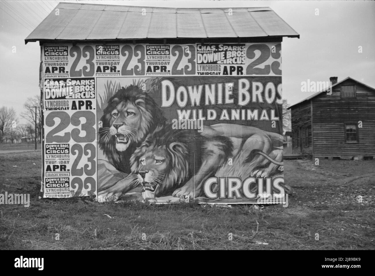 Poster che coprono un edificio vicino Lynchburg per pubblicizzare un Downie Bros. Circus. ['Animali selvatici': leoni]. Foto Stock