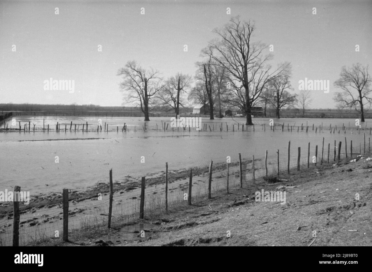 Il Bessie Levee, lungo una filiale del fiume Mississippi, vicino a Tiptonville, Tennessee. Il levee è stato aumentato con sacchi di sabbia durante l'alluvione 1937. Foto Stock