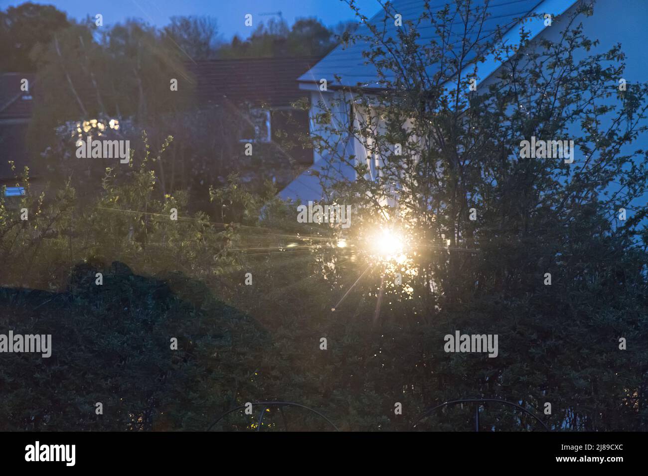 Luce inquinante dalla luce di sicurezza esterna in casa che brilla attraverso la siepe, Regno Unito Foto Stock