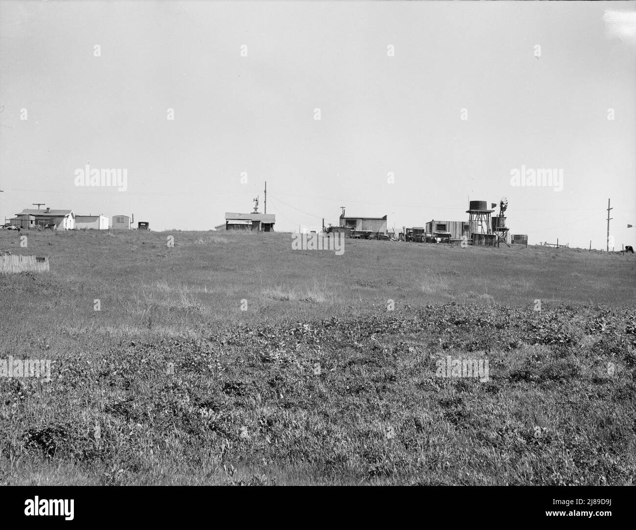 Insediamento di piccoli lotti tenuti principalmente da lavoratori capannone della lattuga, molti dall'Oklahoma. Periferia di Salinas, California. Foto Stock