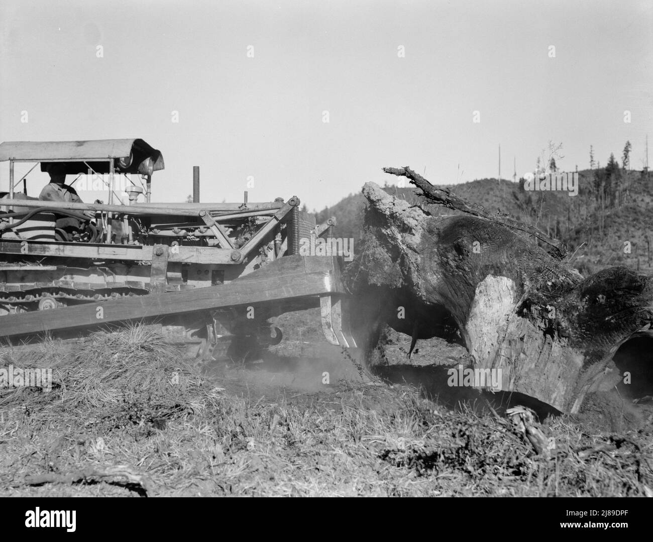 Western Washington, contea di Lewis. Il bulldozer solleva e spinge il moncone nella fattoria di cut-over. Foto Stock