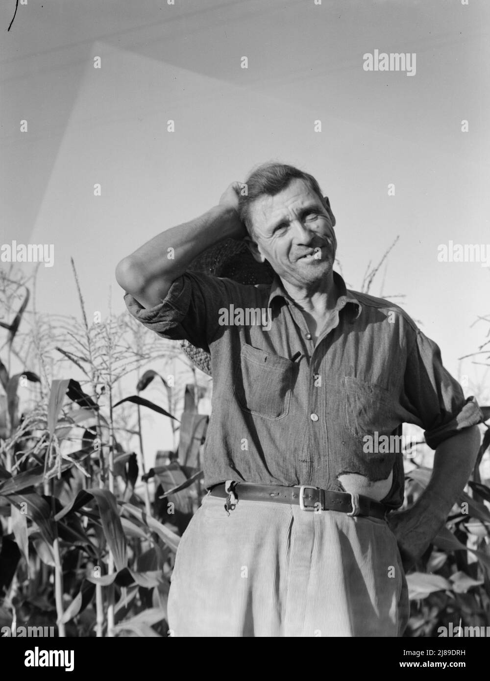 Washington, Yakima Valley. Siccità rifugiato, sessantatré anni, da Bismark, North Dakota. "È venuto a Washington tre anni fa in quel Chevy coupé si vede là e venticinque dollari in contanti. Ci sono stati 480 ettari circa di terreno. Mi sono asciugato dopo trent'anni, l'ho perso e sono uscito." Con l'aiuto di Work Projects Administration (WPA) e il lavoro supplementare sui ranch sta comprando tre quarti di un acro in shacktown vicino a Yakima, ha quasi pagato, ha un buon giardino. "Da solo non posso morire di fame.". Foto Stock