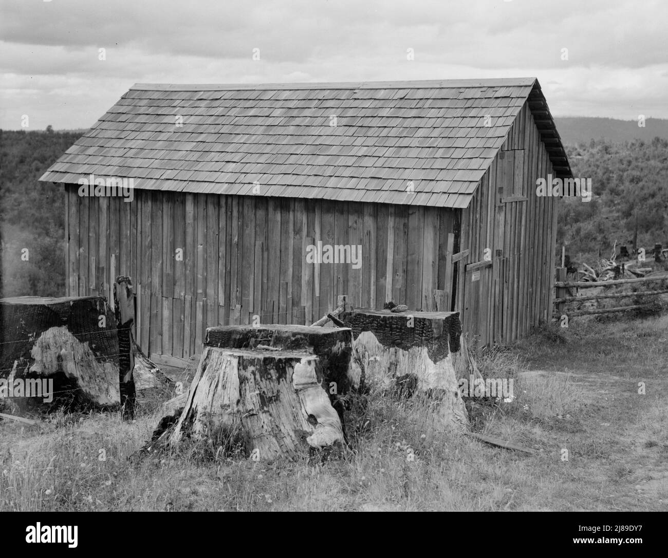 Western Washington, contea di Thurston, vicino a Michigan Hill. Parte di fattoria di ceppo. Foto Stock