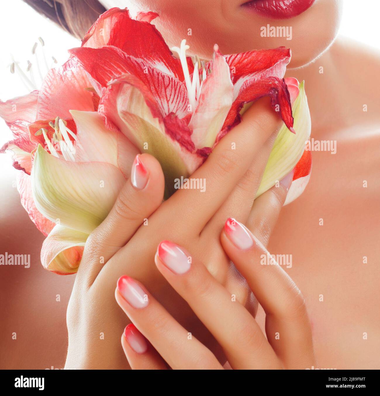 Bellezza mani delicata rosa con ombre manicure design azienda fiore rosso amaryllis close up isolato macro a caldo Foto Stock