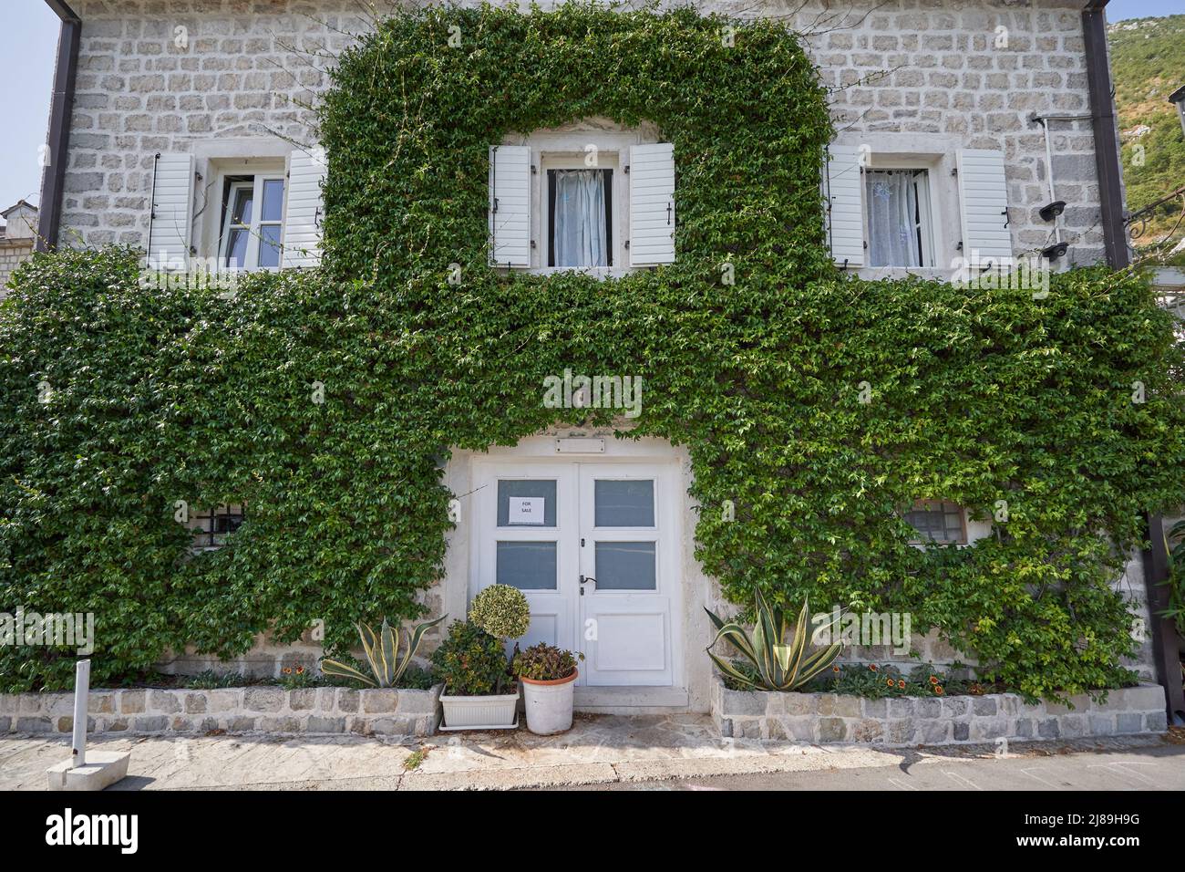 Vecchia casa in vendita con pianta di edera sul muro Foto Stock