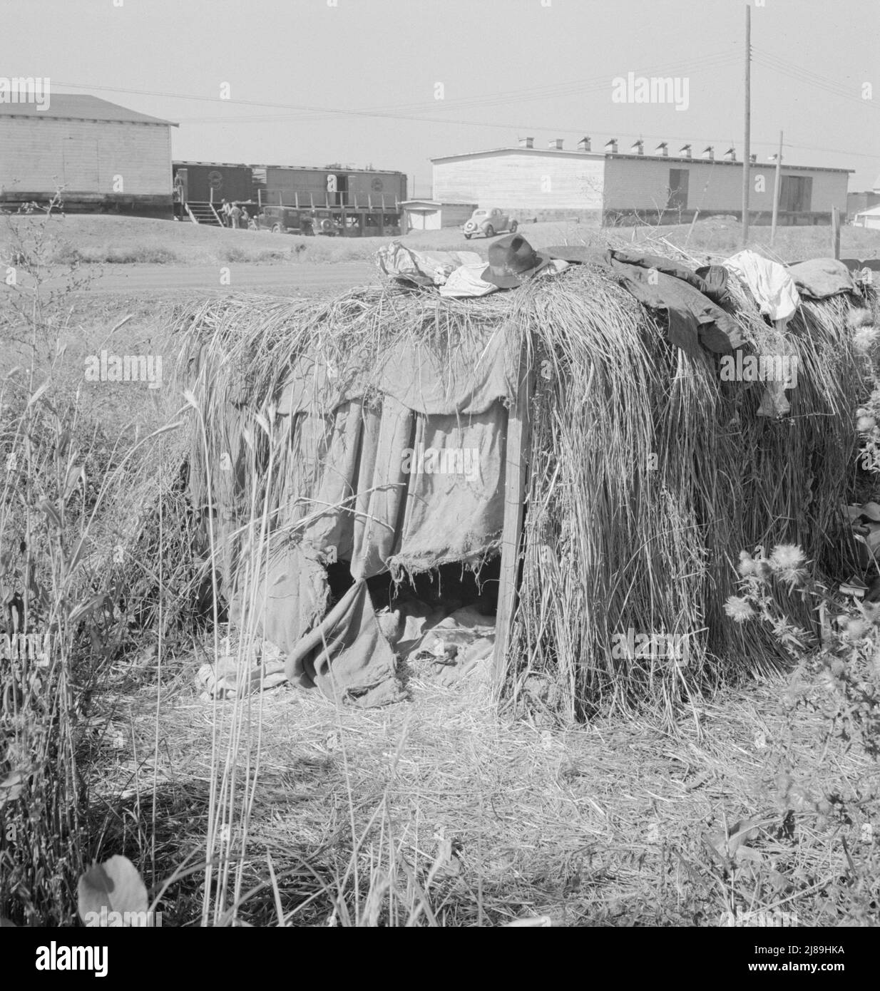 Accampamento di uomini singoli durante la raccolta della patata. Notare che il capannone di imballaggio [e il treno merci] dall'altra parte della strada. Tulelake, contea di Siskiyou, California. Foto Stock