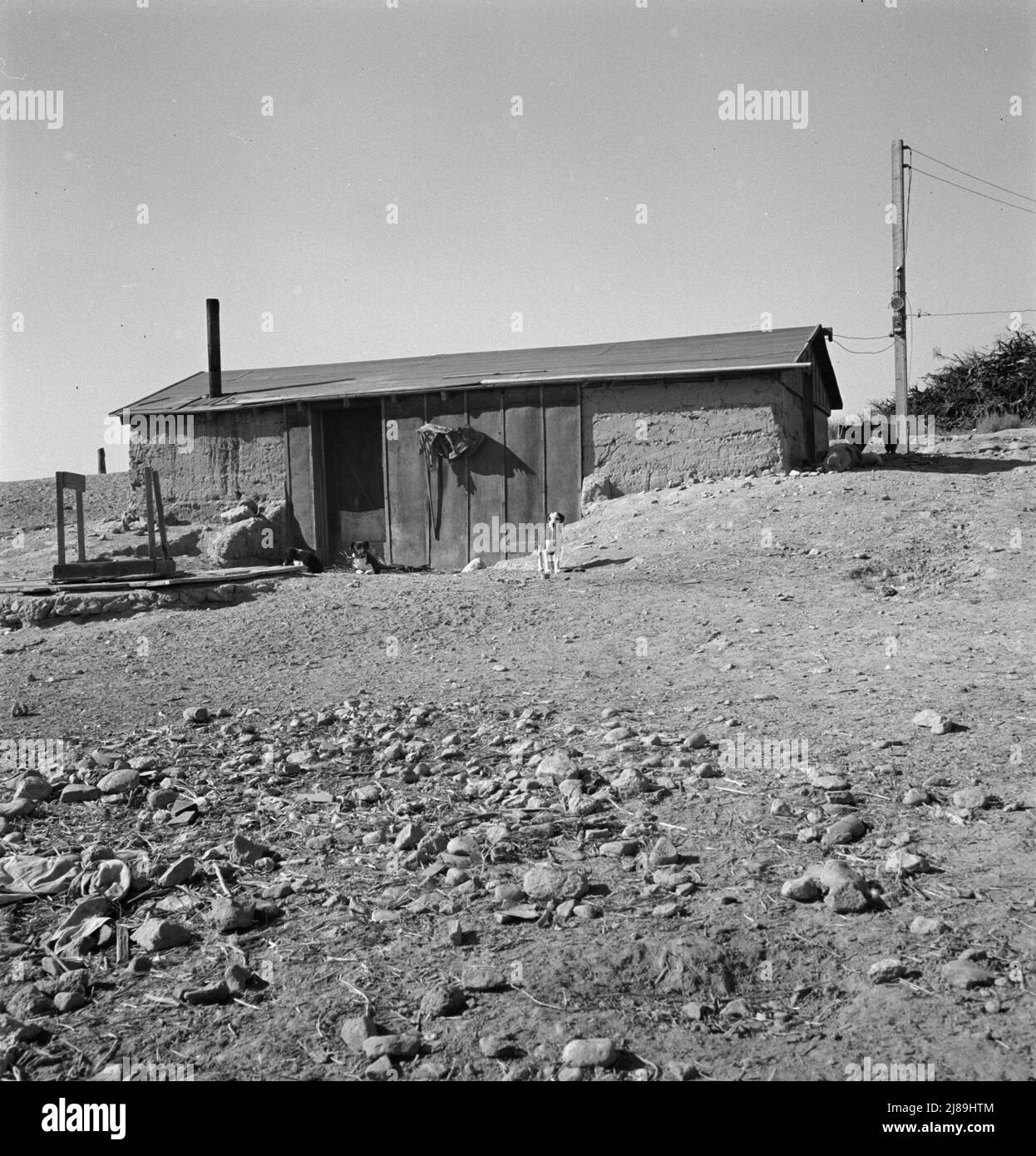 Abode [adobe?] Casa in legno seminterrato nella fattoria di Roberts. Area di Willow Creek. Malheur County, Oregon. Foto Stock