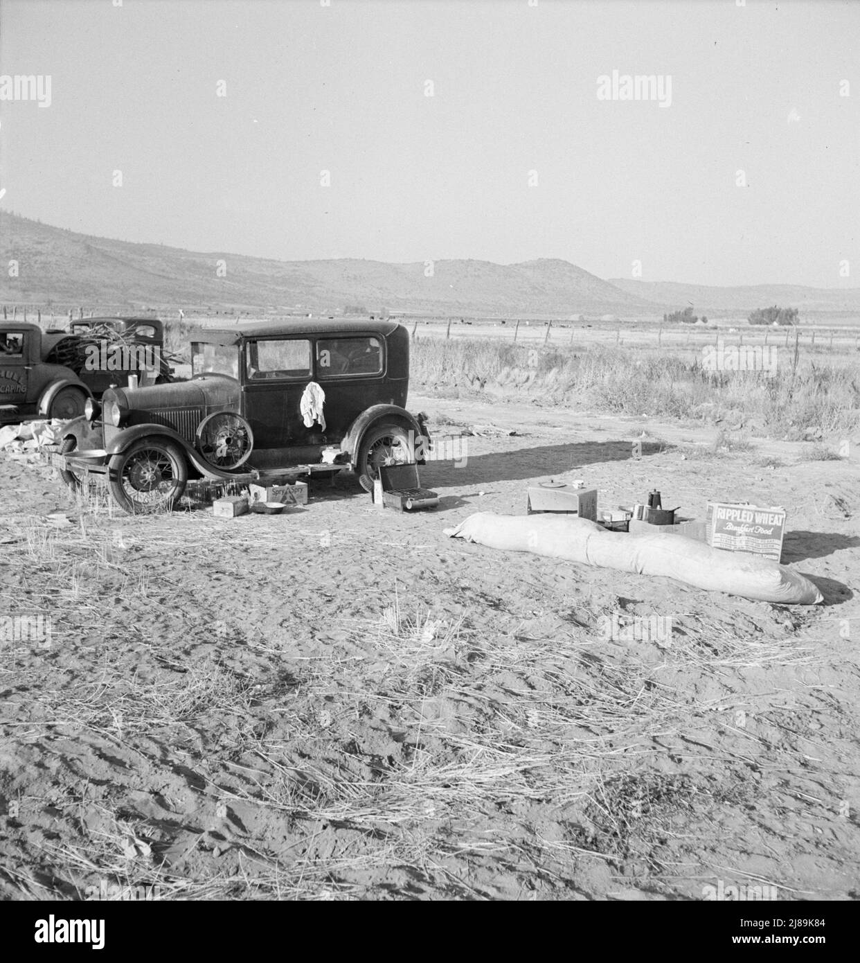 Periferia di Merrill, contea di Klamath, Oregon. Campo dei lavoratori delle patate, senza tende, in attesa di un campo di lavoro della famiglia agricola (FSA - Farm Security Administration) per aprire. Foto Stock