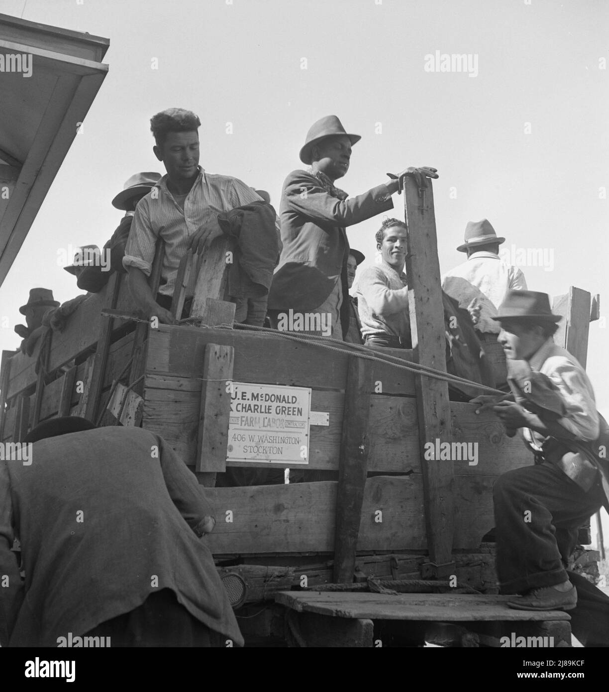 Bande di uomini singoli, pickers piselli, trasportati in campi da contraenti. Contea di Stanislaus, California. [Segno: 'J.E. McDonald &amp; Charlie Green - Contractors di lavoro agricoli autorizzati - 406 W. Washington - Stockton']. Foto Stock