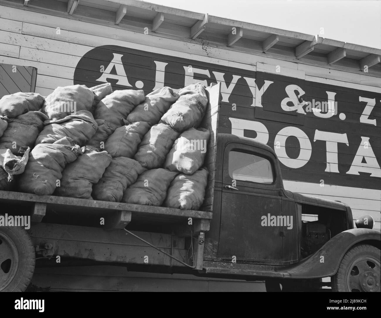 Capannone di patate durante la stagione, dall'altra parte della strada dal campo dei raccoglitori. Tulelake, contea di Siskiyou, California. [Segno: 'A. Levy e J. Zentner Co. Potatoes»]. Foto Stock