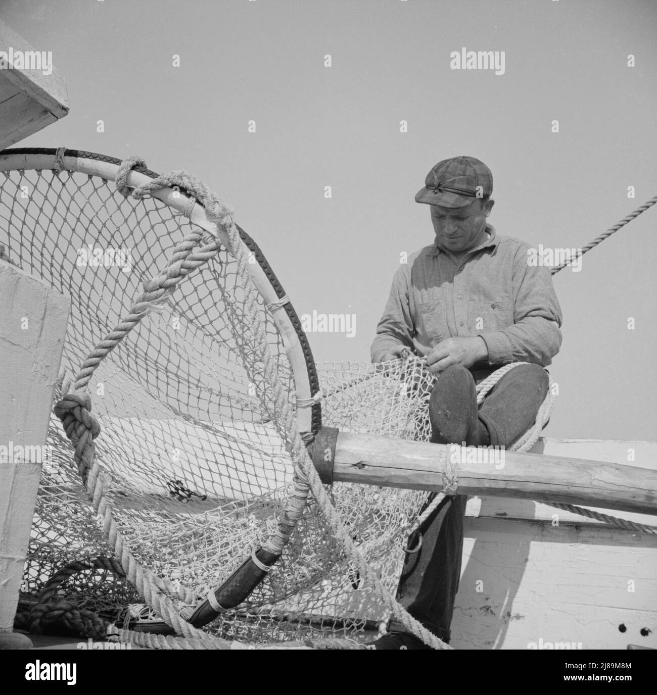 Frank Mineo, proprietario e skipper della barca da pesca del New England Alden. Gloucester, Massachusetts. Foto Stock