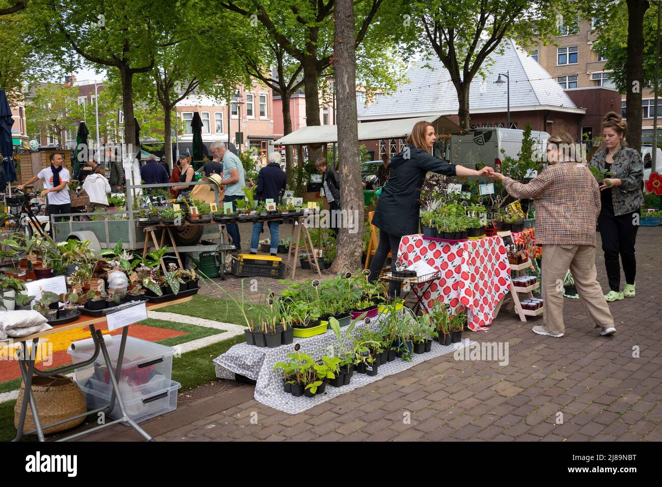Paesi Bassi, Rotterdam - 14 maggio 2022: Mercato delle piante sul mercato del raccolto di Rotterdam Foto Stock