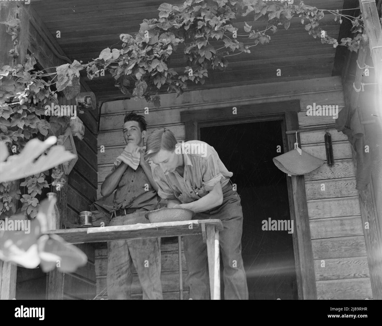 Oregon. Independence, Polk County. Luppolo figli contadini, lavaggio per pasto di mezzogiorno sul portico posteriore. Essi controllano i lavoratori migratori sul campo e tendono alla pesatura del luppolo. [Nota luppolo vite che cresce sul portico]. Foto Stock