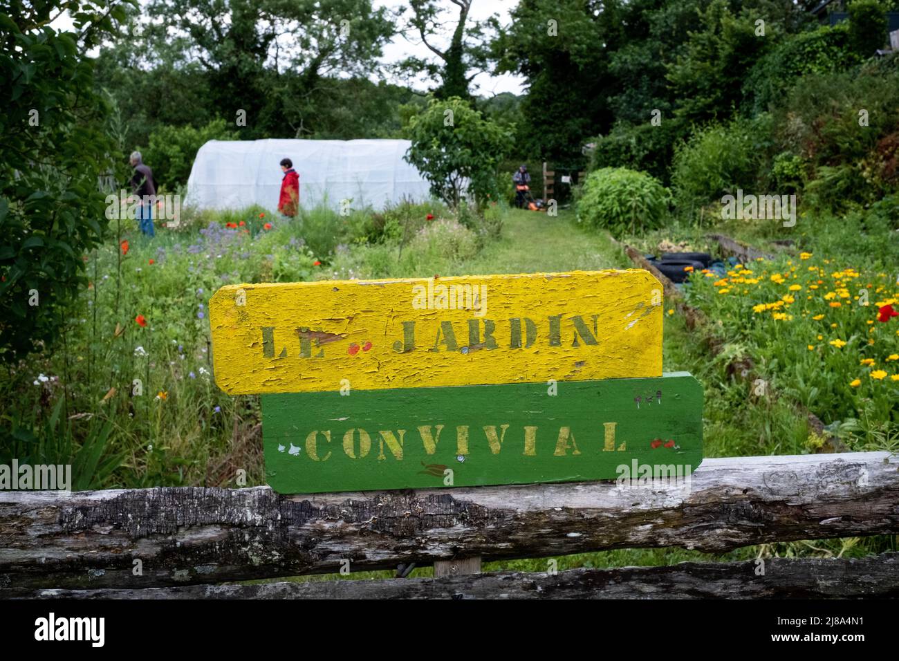 Francia, Bretagna, Dinan il 2021-06-23. Il movimento cittadino dei giardini condivisi propone agli abitanti di produrre frutti e vegeti Foto Stock