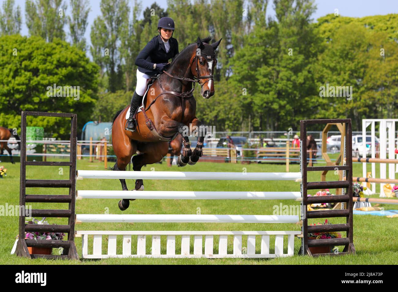 Ayr, Regno Unito. 14th maggio 2022. Dopo un gap di 2 anni a causa delle normative di Covid, l'Ayr County Show è tornato all'ippodromo di Ayr con mostre, mostre e competizioni che coprono tutti gli aspetti della vita agricola e rurale insieme alle sfide sportive nella 'Tug o' War' per le squadre di uomini e donne. L'evento, considerato uno dei più grandi del suo genere in Scozia, ha attirato migliaia di spettatori che hanno goduto il clima caldo e soleggiato. Credit: Findlay/Alamy Live News Foto Stock