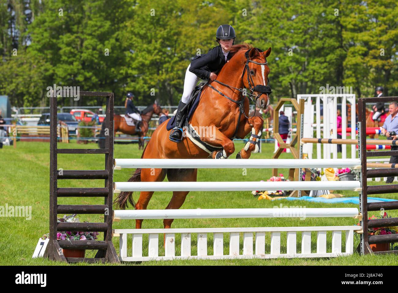 Ayr, Regno Unito. 14th maggio 2022. Dopo un gap di 2 anni a causa delle normative di Covid, l'Ayr County Show è tornato all'ippodromo di Ayr con mostre, mostre e competizioni che coprono tutti gli aspetti della vita agricola e rurale insieme alle sfide sportive nella 'Tug o' War' per le squadre di uomini e donne. L'evento, considerato uno dei più grandi del suo genere in Scozia, ha attirato migliaia di spettatori che hanno goduto il clima caldo e soleggiato. Credit: Findlay/Alamy Live News Foto Stock