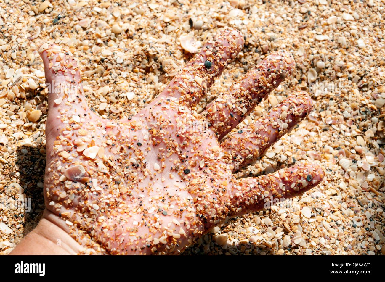 Mano dell'uomo ricoperta di sabbia e roccia conchiglia. Giornata estiva soleggiata. Foto Stock