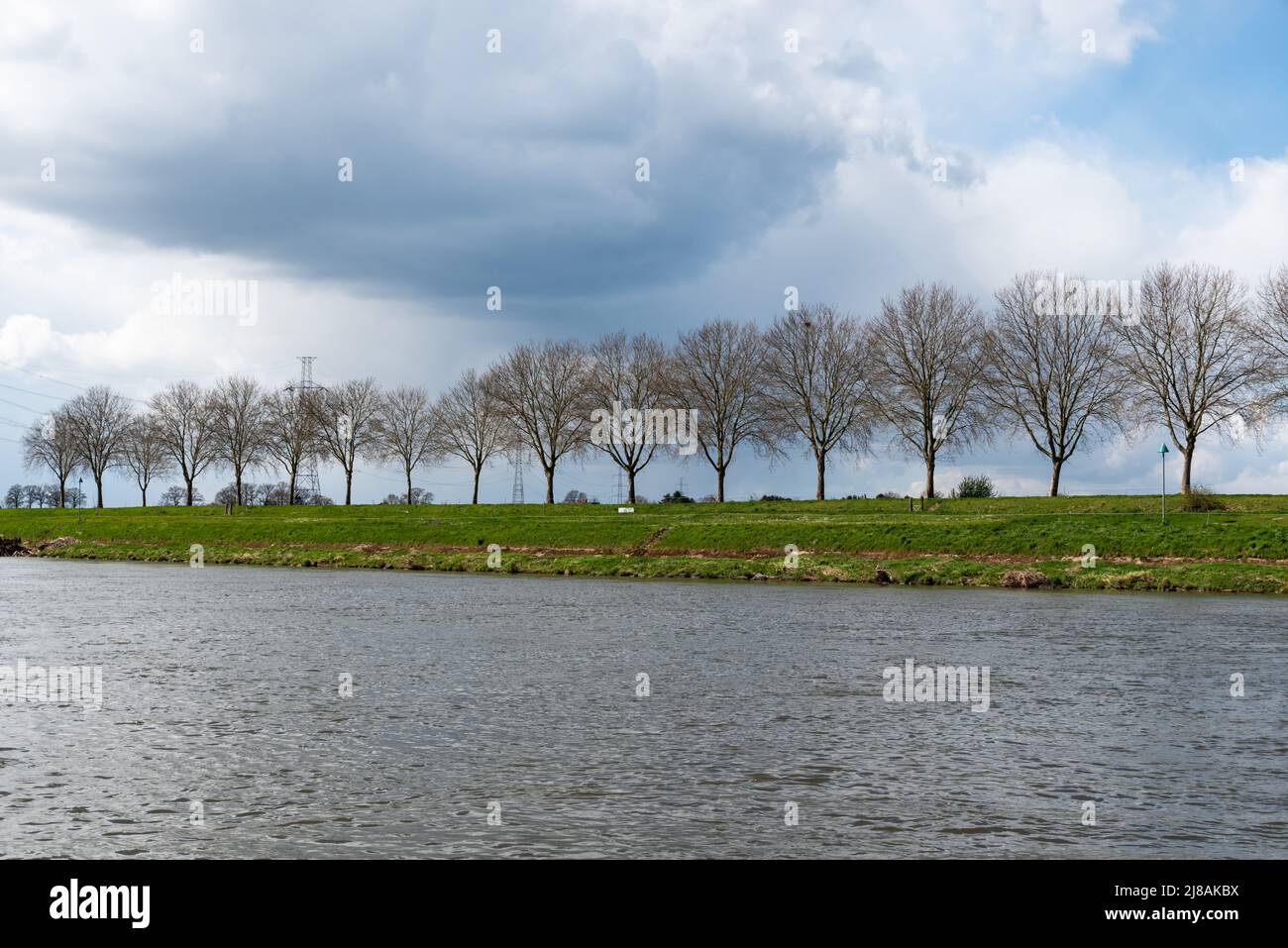 Zona naturale alluvione con le rive verdi del fiume Maas, Thorn, Limburg, Paesi Bassi Foto Stock