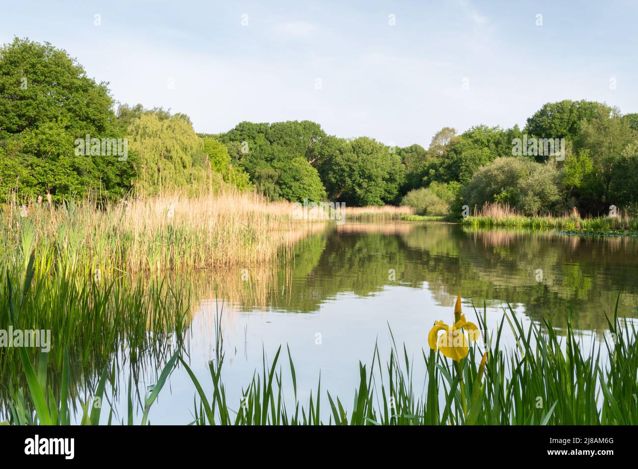 Il lago ornamentale sul Southampton Common Foto Stock