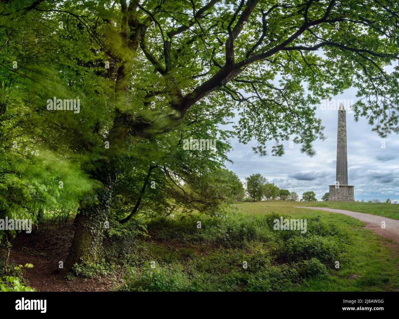 Il Wellington Memorila è un obelisco triangolare alto 175 piedi situato su un punto delle Blackdown Hills fuori della città di Wellington in Somerset. Foto Stock