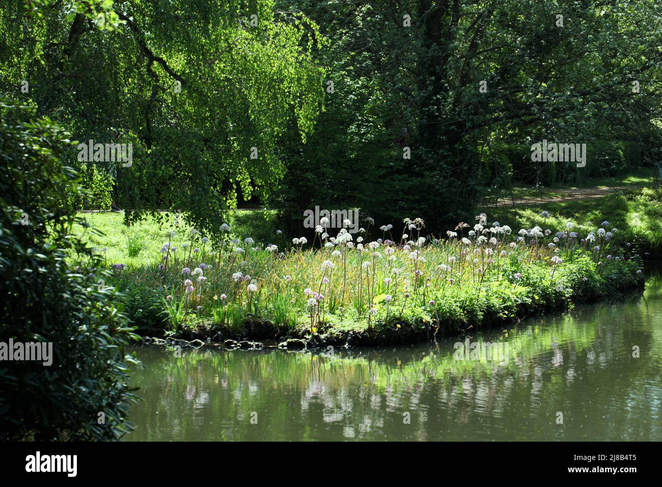 Giardini paesaggistici britannici attraverso le stagioni - laghetto medio al Giardino Svizzero a Shuttleworth, Biggleswade, Regno Unito, maggio 2022 Foto Stock