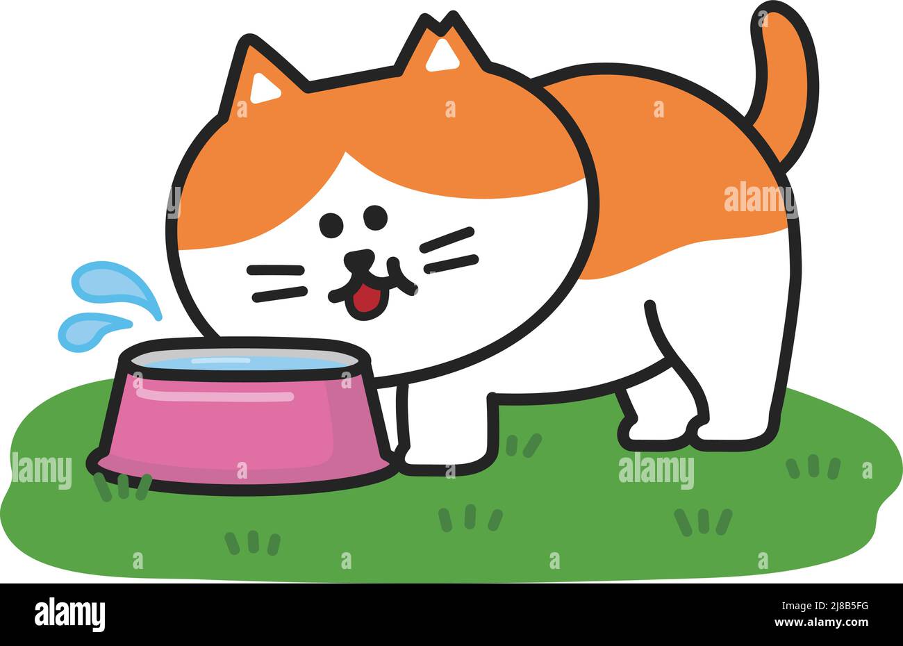 Un gatto vagamente beve acqua da una ciotola nel campo felicemente. Illustrazione vettoriale isolata su sfondo bianco. Illustrazione Vettoriale