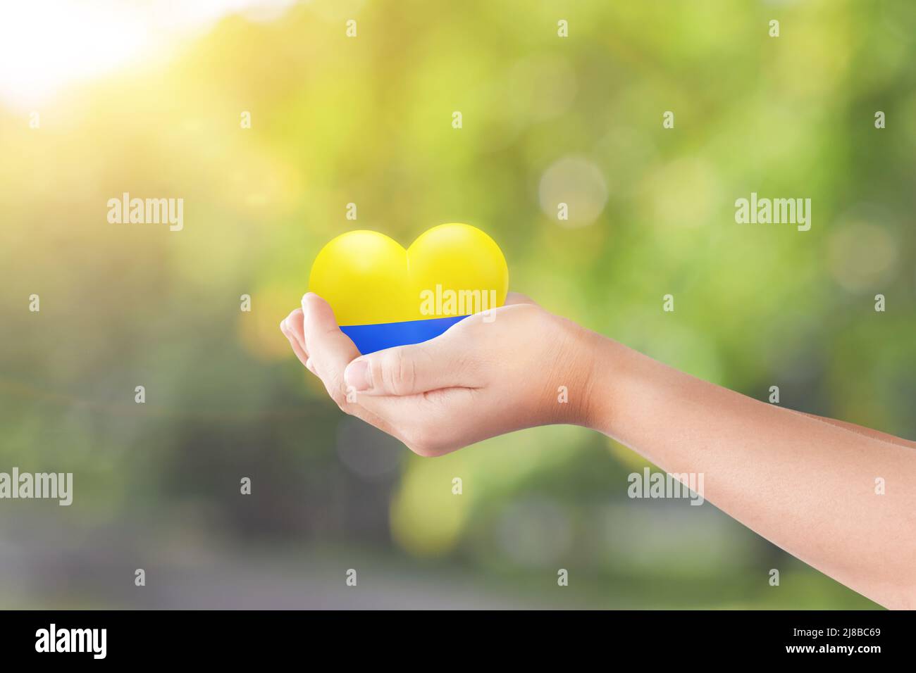 La mano del bambino che tiene il cuore nella nazione della bandiera di colore dell'Ucraina sopra sfondo verde della natura. Concetto di fine della guerra in Ucraina. Foto Stock