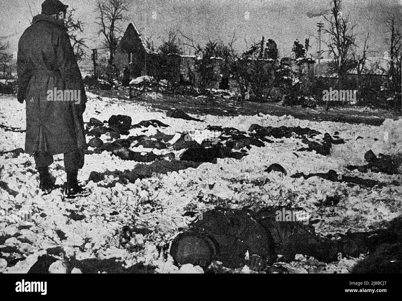 Qualcuno che guarda i corpi dei soldati americani giustiziati, noto come il massacro di Malmedy durante la battaglia della Borge, seconda guerra mondiale Foto Stock