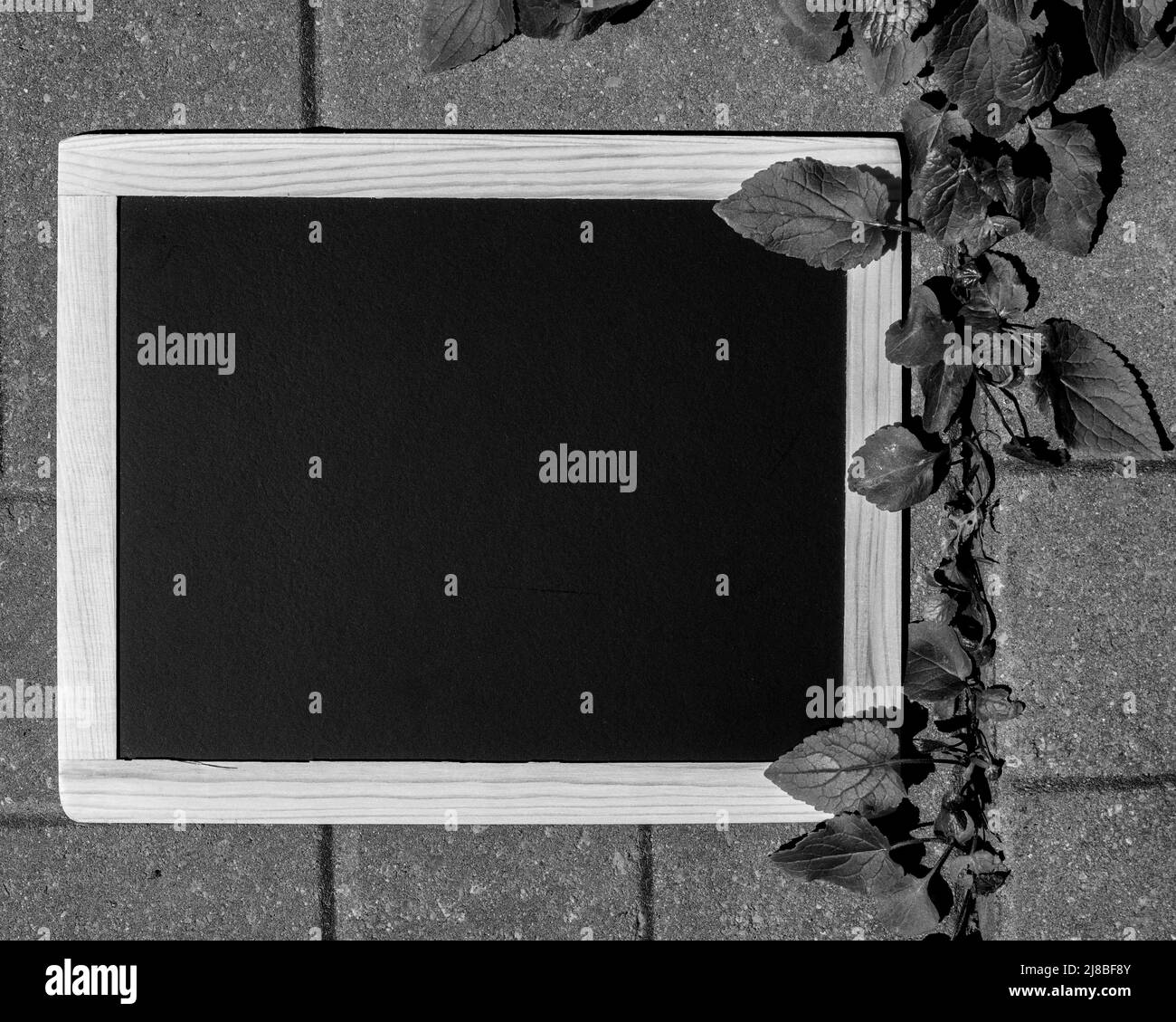 Un alto angolo nero e bianco di una lavagna vuota (lavagna) con telaio in legno, su pavimento in cemento, per scrivere il tuo messaggio su - stock photograp Foto Stock