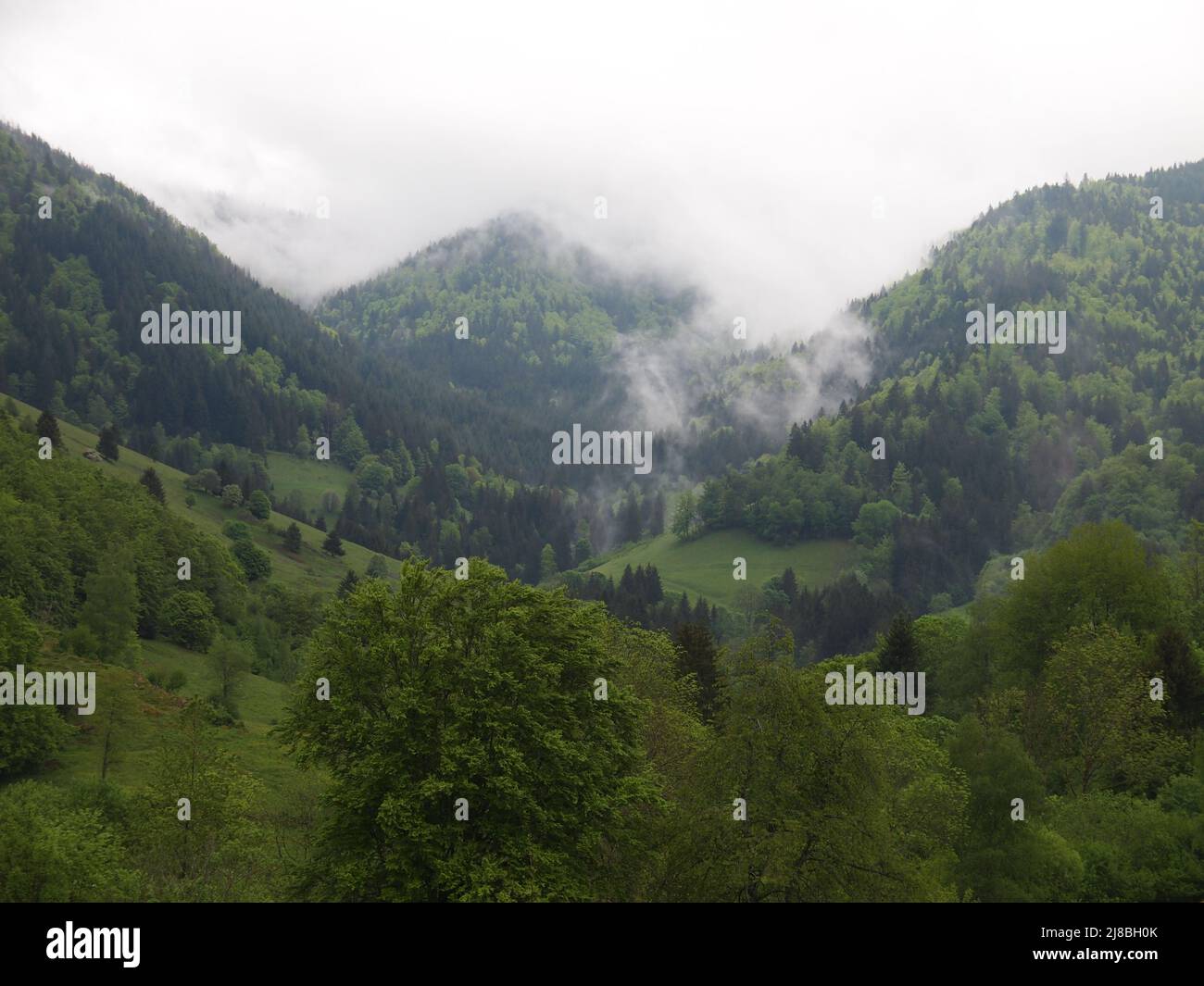 Riserva della biosfera della Foresta Nera (Baden-Württemberg, Repubblica federale di Germania) Foto Stock