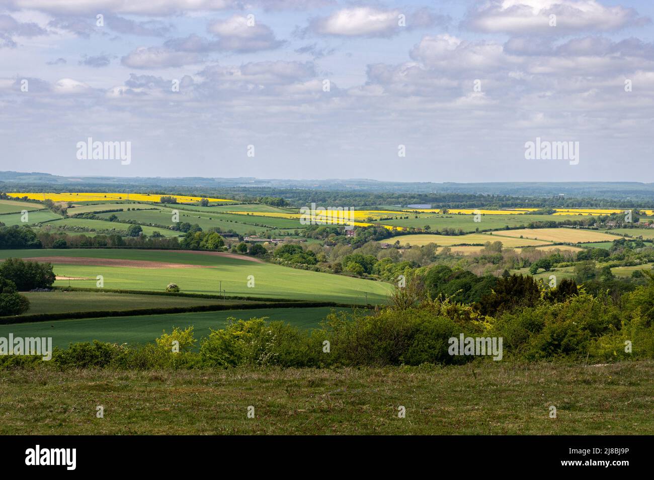 Vista della campagna da Stockbridge giù, una riserva naturale e SSSI circondato da terreni agricoli, Hampshire, Inghilterra, Regno Unito, durante maggio Foto Stock
