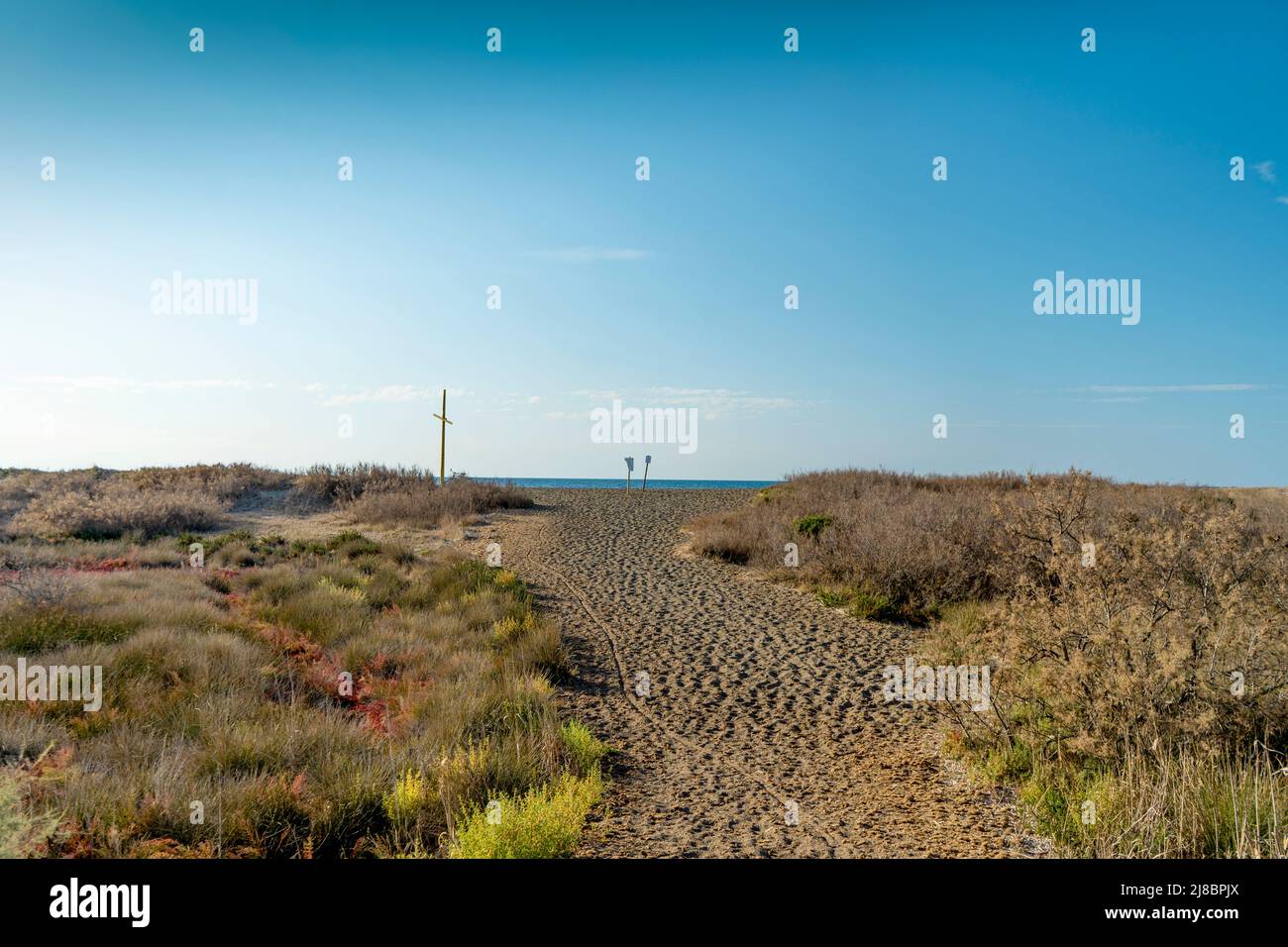 La spiaggia sabbiosa e gli arbusti di fronte alla cosiddetta Torraccia o Torre Nuova, lungo la strada la Principessa, Piombino, Toscana, Italia Foto Stock
