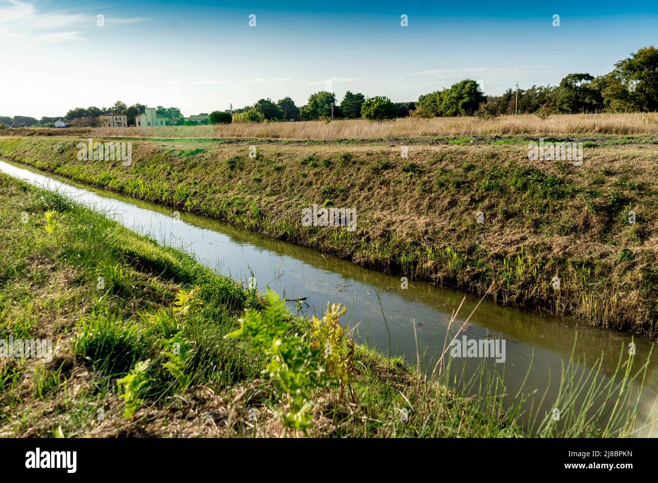 Fiume nella campagna del comune di Piombino, zona chiamata 'Poggio alle Formiche' nei pressi di Baratti e Populonia, regione Toscana, Italia Foto Stock