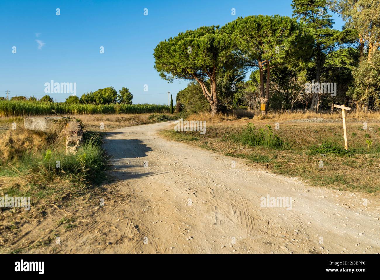 La campagna del comune di Piombino, zona chiamata 'Poggio alle Formiche' nei pressi di Baratti e Populonia, regione Toscana, Italia Foto Stock