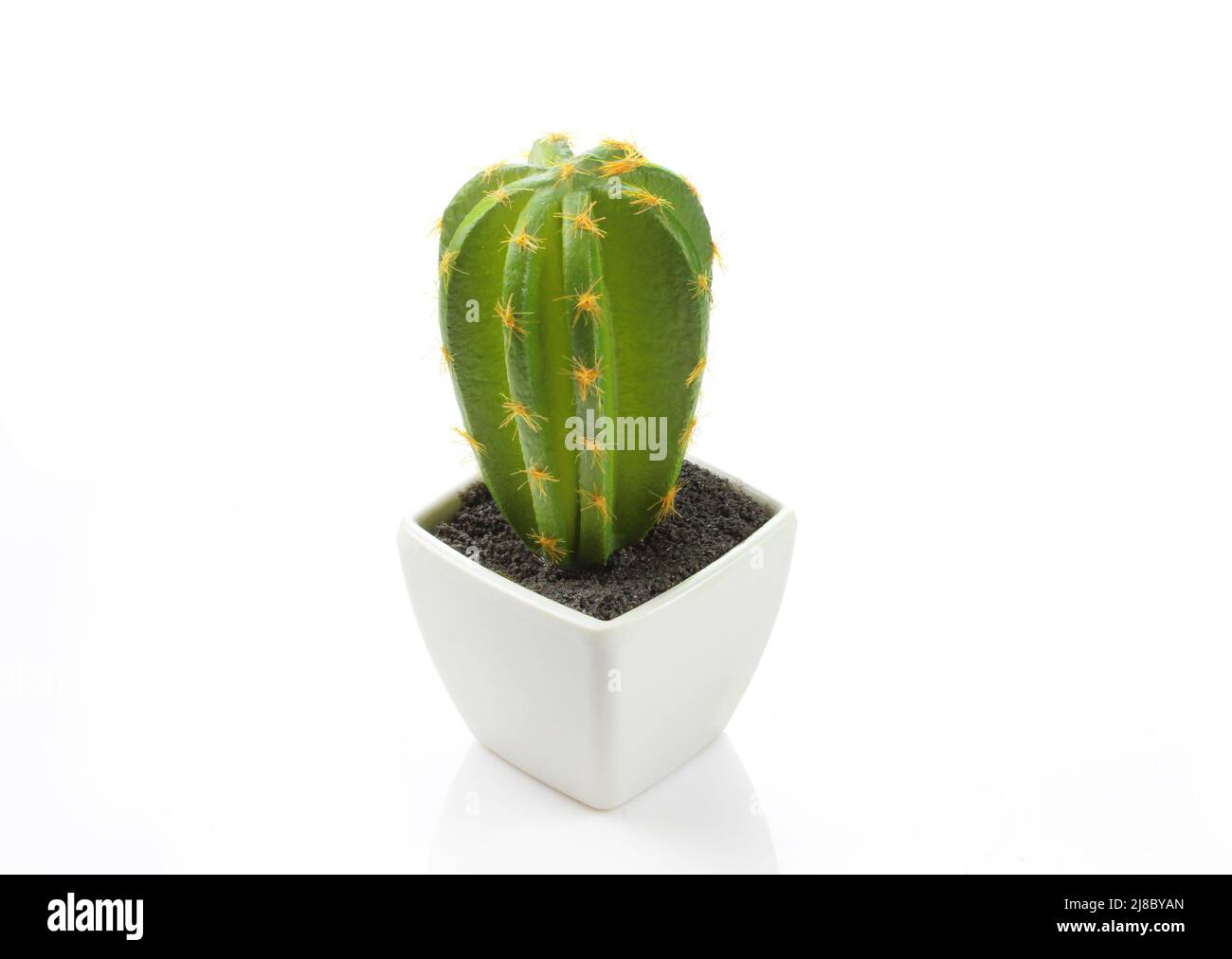 Cactus finto Immagini senza sfondo e Foto Stock ritagliate - Alamy