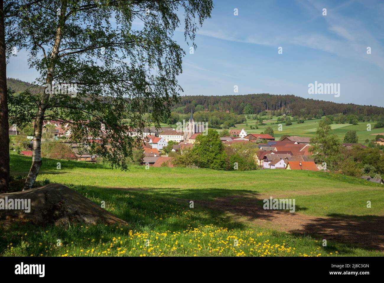 Erlebnisweg Heinrichs, un percorso escursionistico nel Waldviertel - vista su Heinrichs Foto Stock