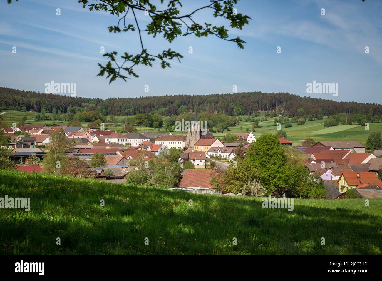 Erlebnisweg Heinrichs, un percorso escursionistico nel Waldviertel - vista su Heinrichs Foto Stock