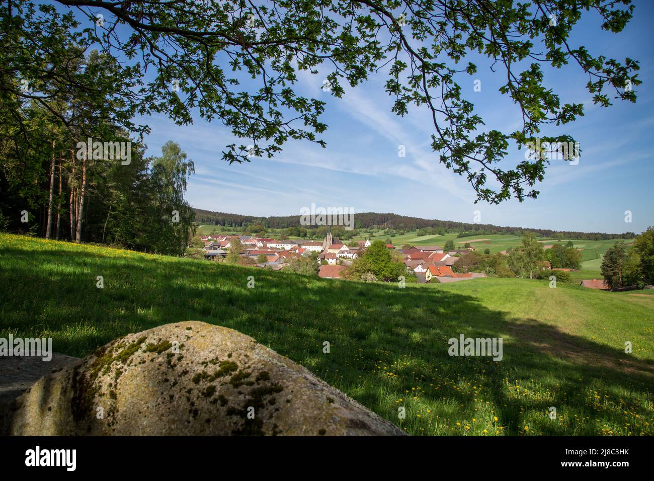 Erlebnisweg Heinrichs, un percorso escursionistico nel Waldviertel - vista su Heinrichs Foto Stock