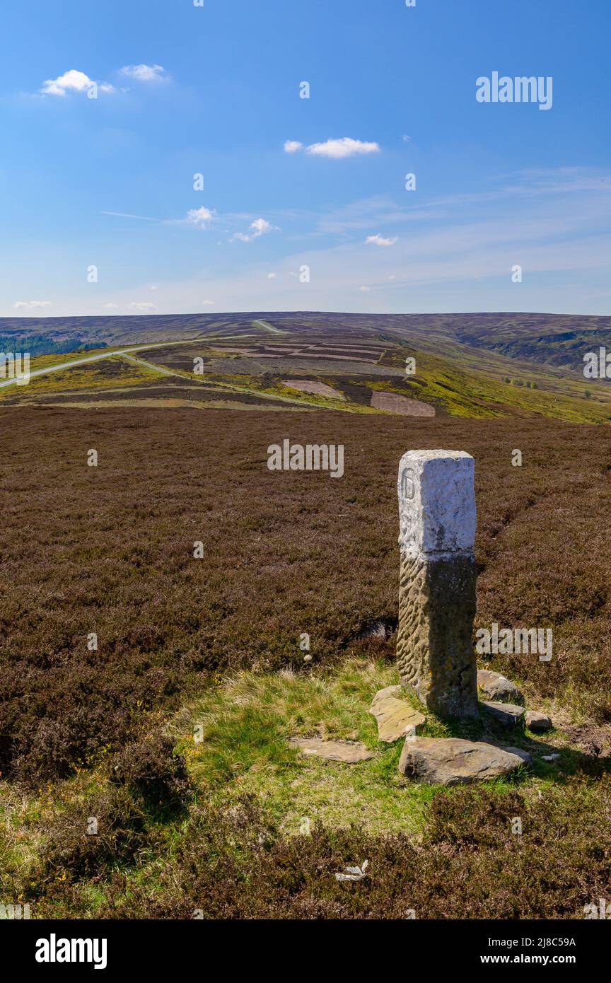 Boundary Stone a Brown Hill su Castleton Rigg nel parco nazionale North York Moors Foto Stock