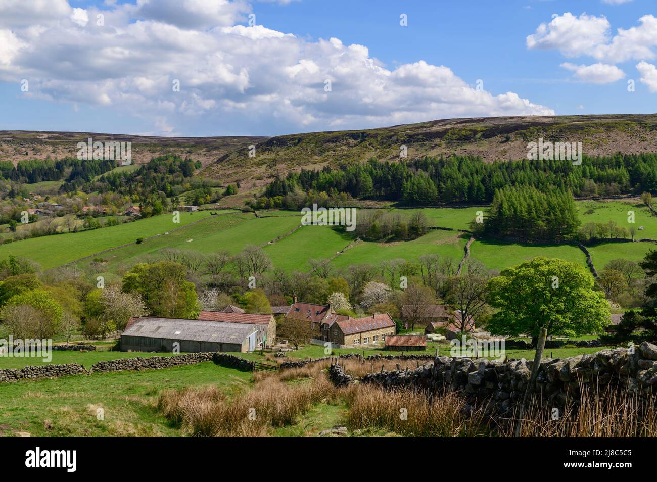 Danby testa vicino Castleton nel North York Moors National Park Foto Stock