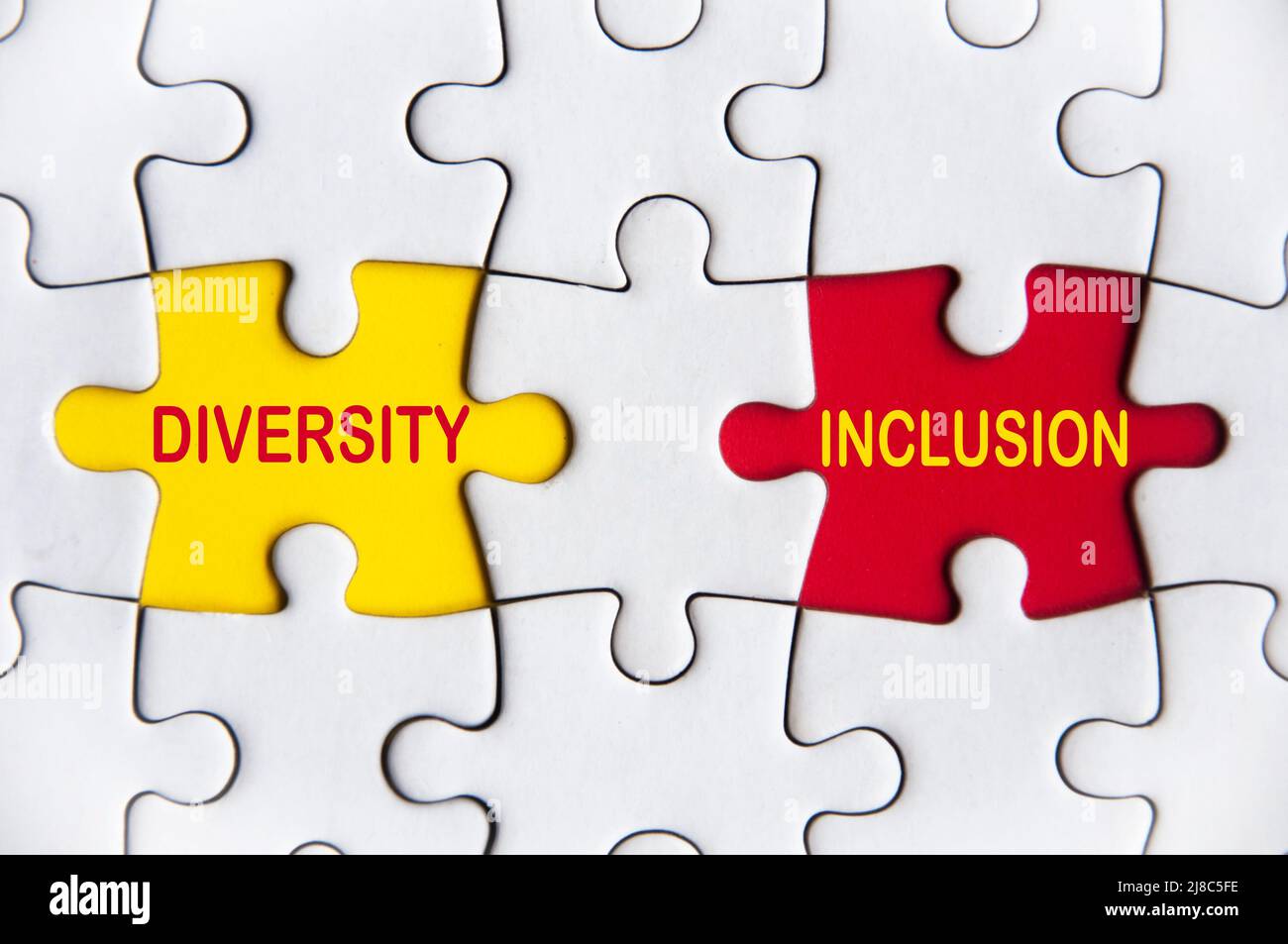 Diversità e testo di inclusione sul puzzle mancante. Diversità e concetto di inclusione Foto Stock