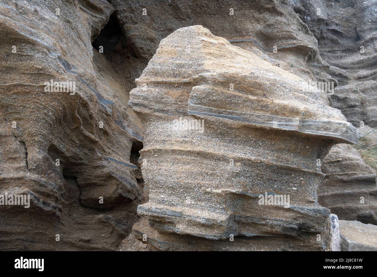 Formazioni rocciose in scogliere a Otatoka Beach, vicino Wanganui, Isola del Nord, Nuova Zelanda Foto Stock