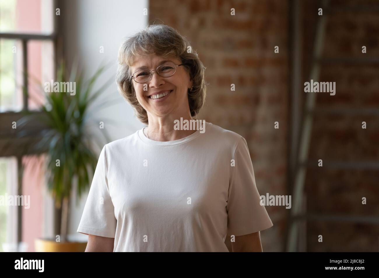 Testa ritratto sorridente maturo grigio capelli donna Foto Stock