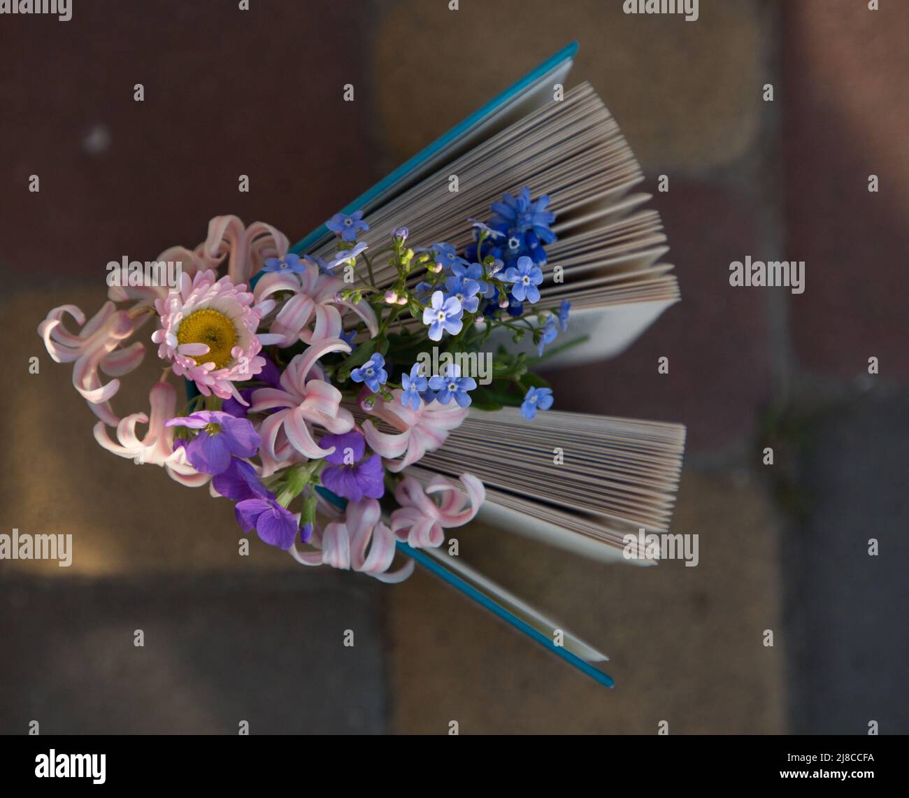 Prenota con un bouquet di fiori di primavera, tempo per il riposo e l'educazione. Leggi il libro con piacere. Accogliente atmosfera poetica. Vista dall'alto Foto Stock