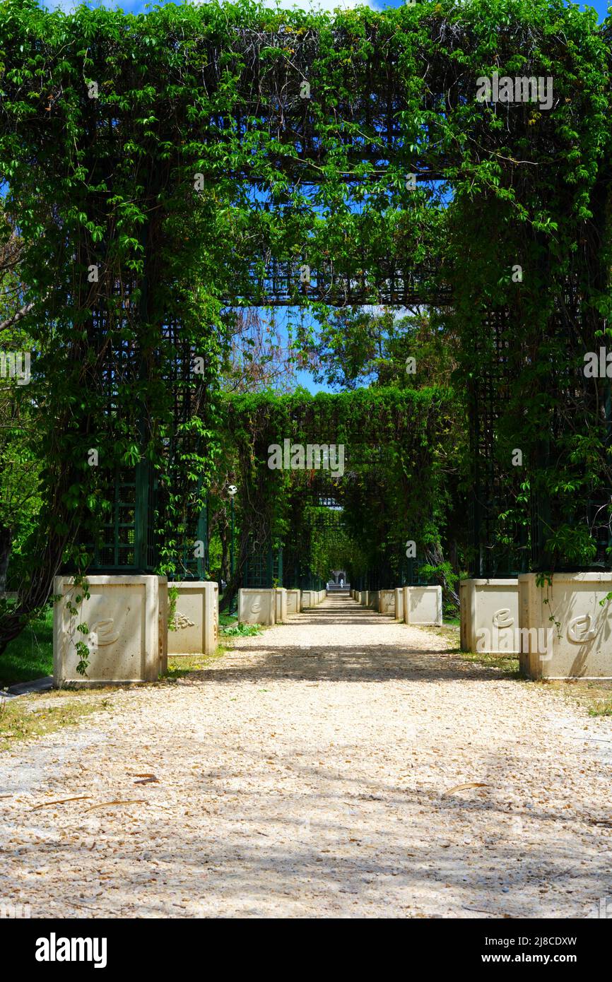 Sentiero verde tunnel a piedi al parco Foto Stock